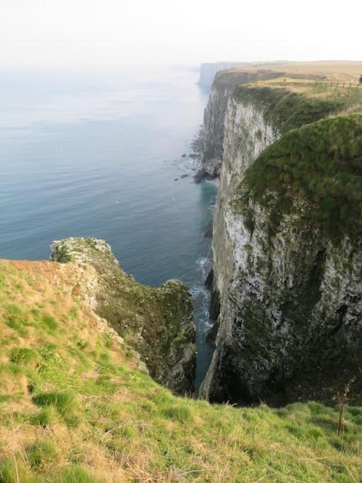 Spacious, Self-Contained, 1 Bedroomed Annex Bempton Екстериор снимка